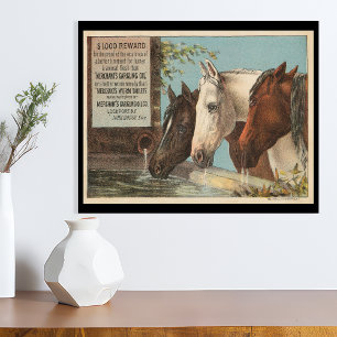 Boerderijpaarden Drinken Water Reclame Ephemera Perfect Poster