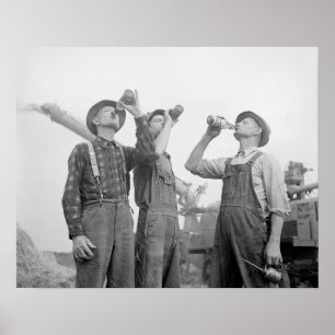 Boeren drinken bier, 1941. Oude foto Poster