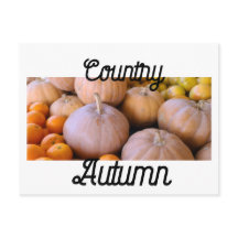 Boerenmarkt Pompoenen Land Herfst