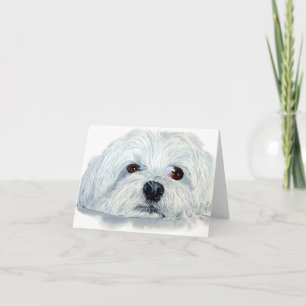 Bogart de Maltese Notecard Kaart
