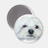 Bogart the Maltese Magnet (Recto/Verso)