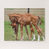 BOGO Babies Puzzle 1 Legpuzzel (Horizontaal)