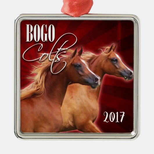BOGO Burst 2017 Ornament (Voorkant)