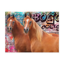 BOGO Colts - Graffiti Post Card - Arabische paarde