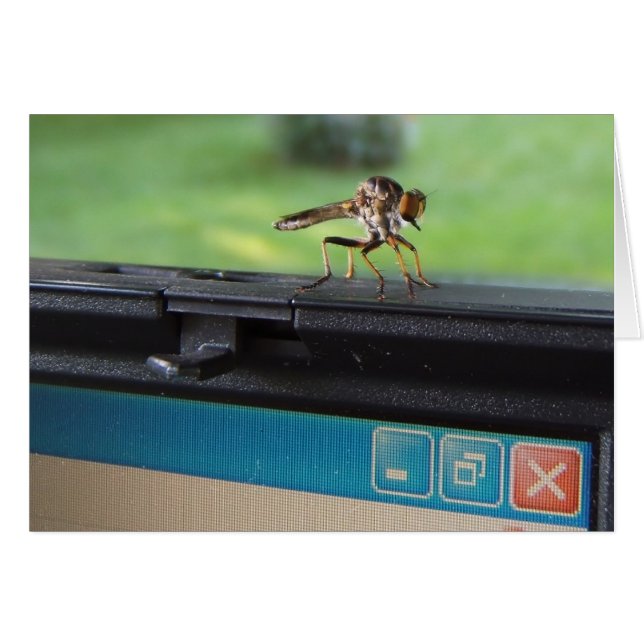 Bogue sur la carte System ~ (Devant horizontal)