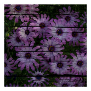 Boheemse Westerne Country Barn Board paarse daisy Perfect Poster