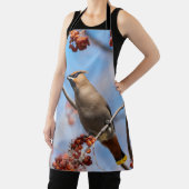 Bohemen Waxwing, Majestic Bird Schort (Insitu)