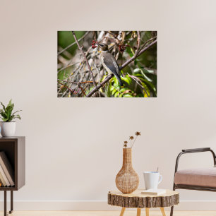 Bohemian Waxwing, Canadees Vogelaar Poster