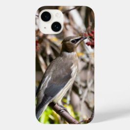 Bohemian Waxwing, Canadese vogelfotografie Case-Mate iPhone 14 Hoesje