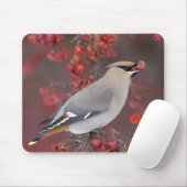 Bohemian Waxwing Mousepad Muismat (Met muis)