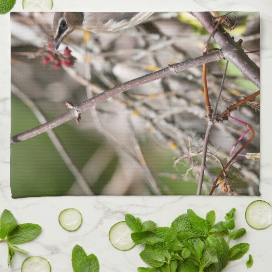 Bohemian Waxwing, rust op een tak Theedoek (Gevouwen)