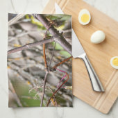 Bohemian Waxwing, rust op een tak Theedoek (Quarter Fold)