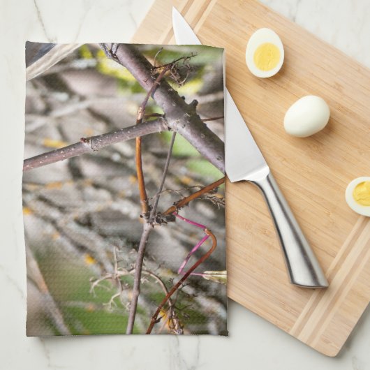 Bohemian Waxwing, rust op een tak Theedoek (Quarter Fold)