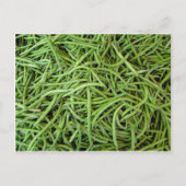 Bohnen Briefkaart (Voorkant)