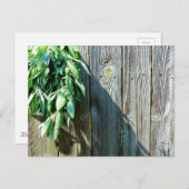 Boho botanical herb bladeren rustic Barn-wood Briefkaart (Voorkant / Achterkant)