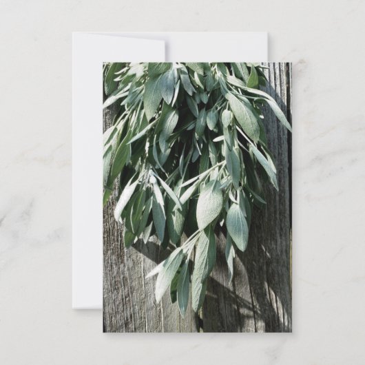 Boho botanische kruid verlaat rustiek Schuur-hout Kaart (Achterkant)