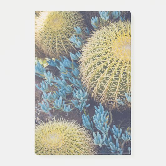 Boho Cactus Garden Post-it® Notes (Voorkant)