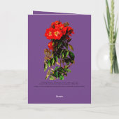 Boho Chic Moederdag Red Roses Bouquet Paars Kaart (Achterkant)