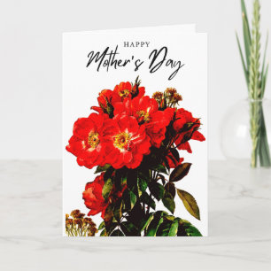 Boho Chic Moederdag Rode Rozen Boeket Wit Kaart