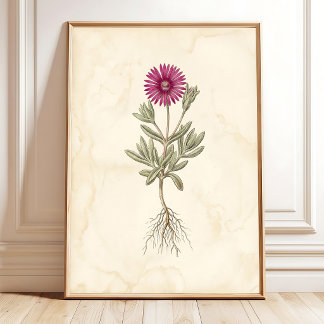 Boho Delosperma botanische canvas kunst Poster