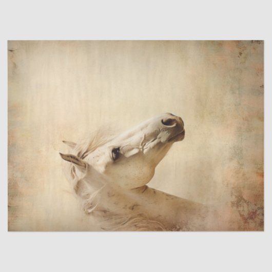 Boho Elegant Witte Paard Decoupage Tissuepapier (Voorkant)