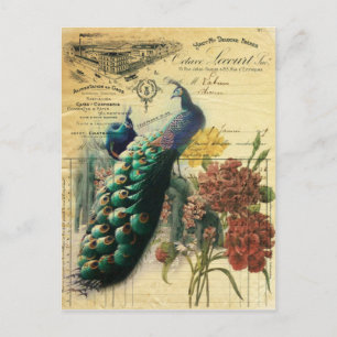boho floral frans moderne pauw briefkaart