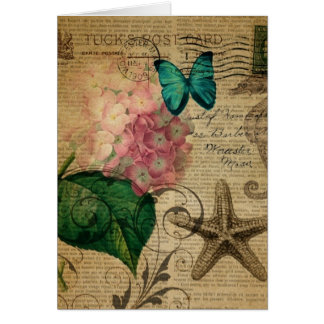 boho Hydrangea vlinderzeester Frans Botanisch