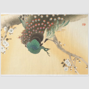  Boho Peacock Peacocks Ontkoppeling Tissuepapier