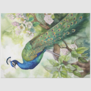  Boho Peacock Peacocks Ontkoppeling Tissuepapier