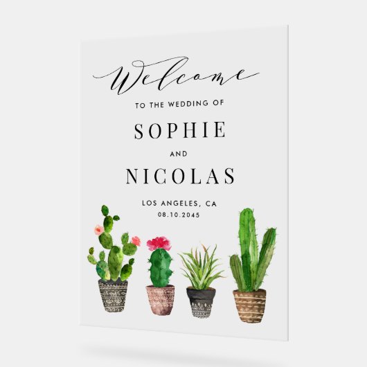 Boho Pot Succulents et Cactus Mariage d'été (Angle)