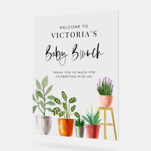 Boho Poted Houseplants Baby Brunch Bienvenue (Angle)