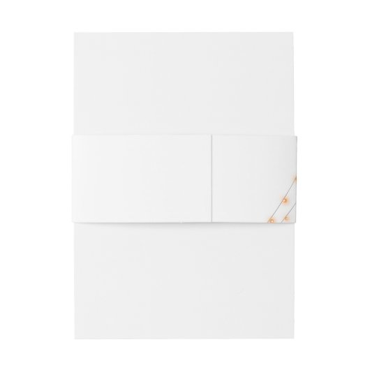 Boho Rozen Veren Lichten Monogram Bruiloft Uitnodigingen Wikkel (Achterkant Voorbeeld)