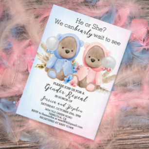 Boho Teddyberen Roze Blauw Geslacht Reveal Kaart