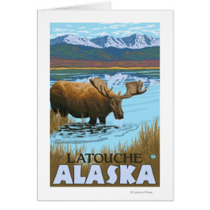Boire de l'orignal au lac - Latouche, Alaska