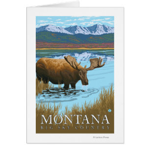 Boire de l'orignal au lac - Montana