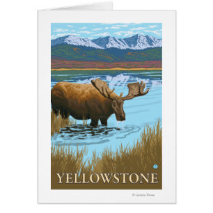 Boire de l'orignal au lac - Yellowstone National