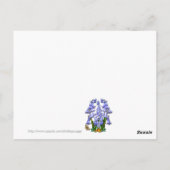 BOIS BLUEBELL ~ CARTE POSTALE (Dos)