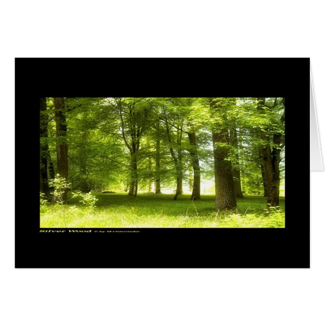 Bois d'argent (carte) (Devant horizontal)