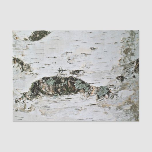 Bois de bouleau de papier de soie de soie de (Recto)