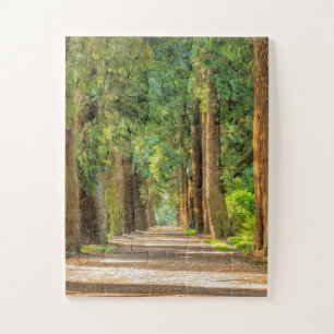 BOIS DE FORÊT SENTIER PAISIBLE JIGSAW PUZZLE