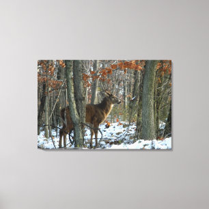 Bois de soirée blanc toile Imprimer