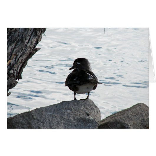 Bois Duck Hen (Devant horizontal)