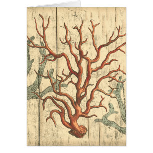 Bois et petit corail