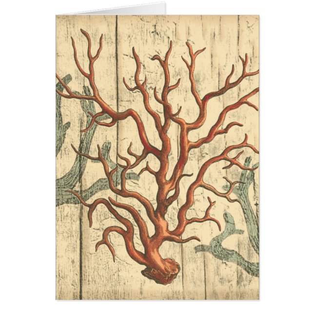 Bois et petit corail (Devant)