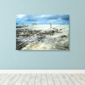 Bois mort dans la toile du Pacifique (Insitu (Plancher de Bois))