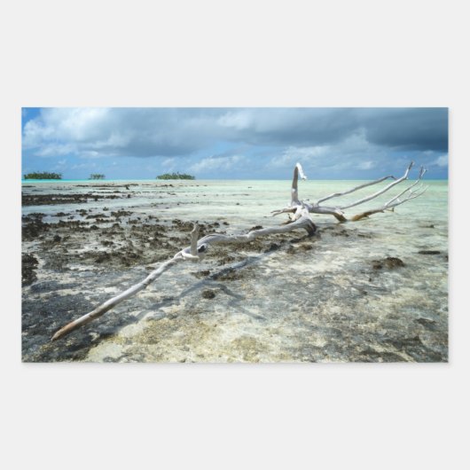 Bois mort dans le Pacifique autocollant rectangula (Devant)