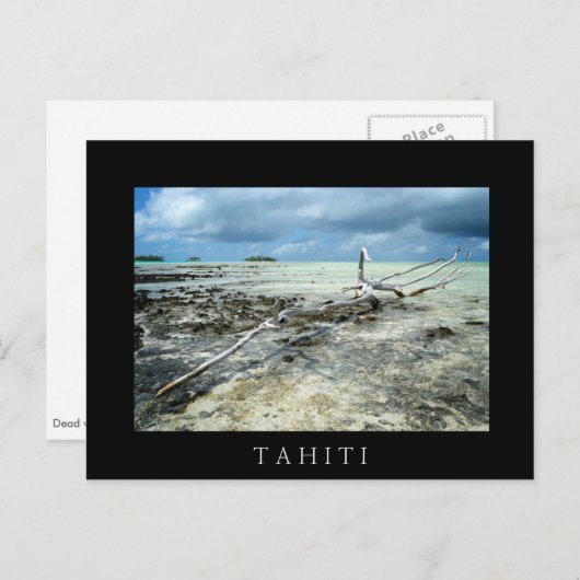 Bois mort dans le Pacifique carte postale en texte (Devant / Derrière)