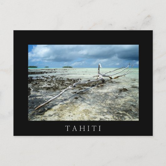 Bois mort dans le Pacifique carte postale en texte (Devant)