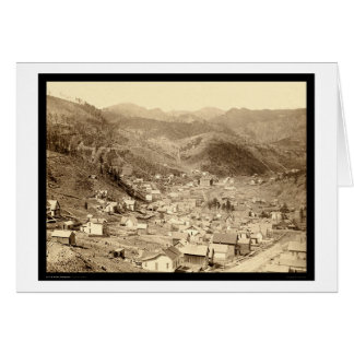 Bois mort vu de l'écart-type 1888 d'Engleside