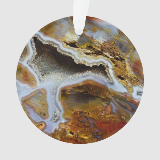 Bois pétrifié aux cristaux (devant)